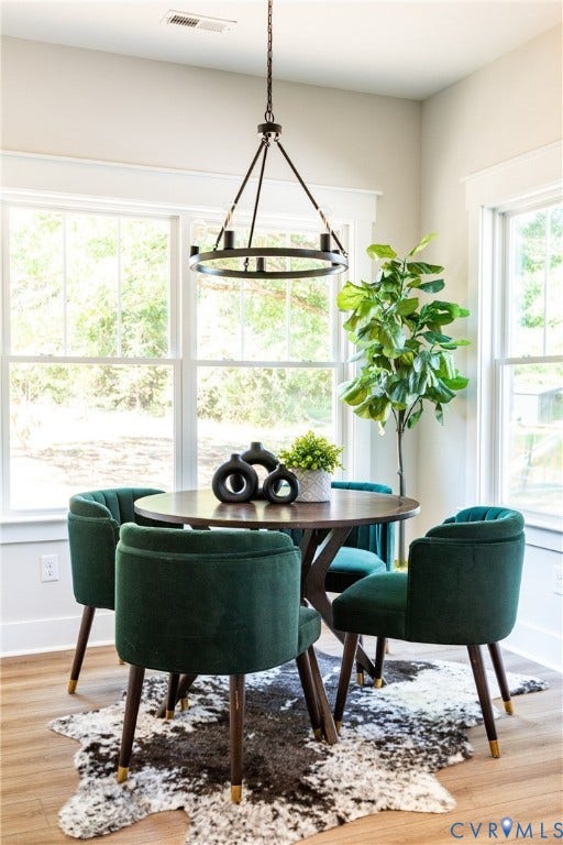 1343 Stokes Station Road, Goochland, VA 23063 abundant natural light from multiple windows