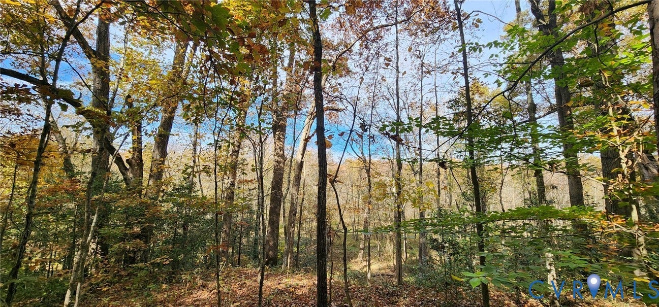 Mature trees and natural foliage