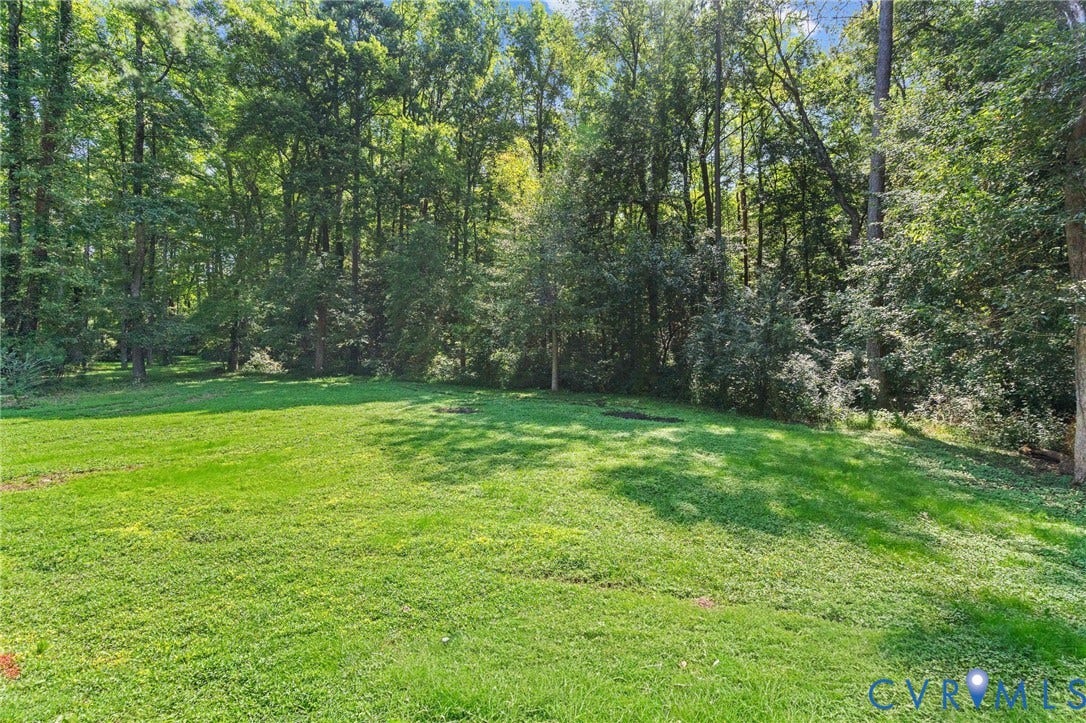 Expansive lawn with mature trees and dense foliage