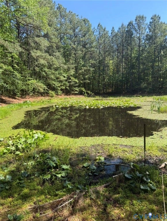 Property photo for 0 Sturgeon Road, Lawrenceville, VA