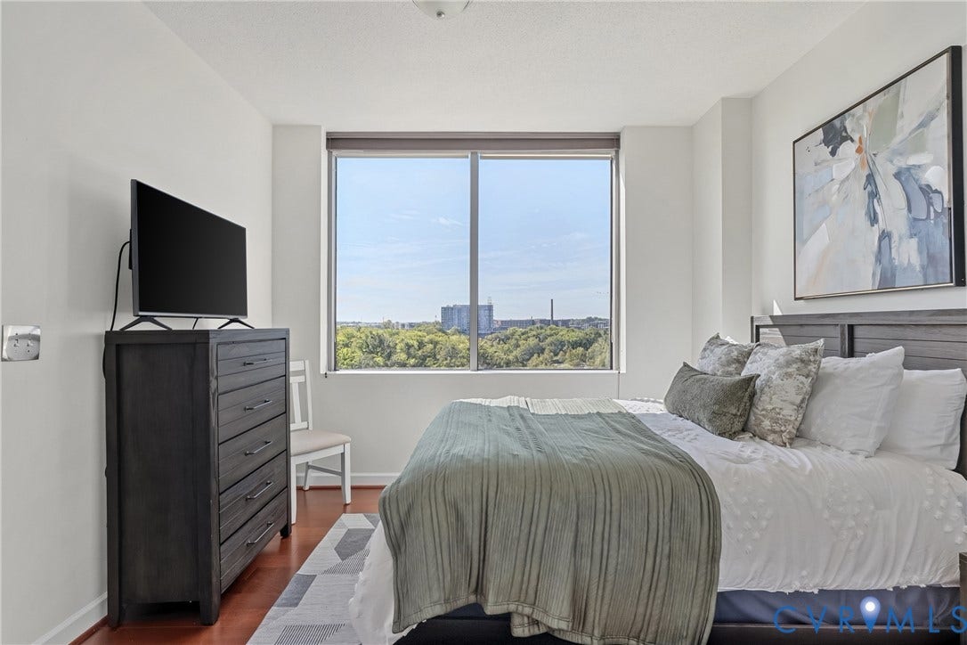 1101 Haxall Point, #U514, Richmond, VA 23219 Expansive window with natural light, wood-finish flooring, and light-toned walls