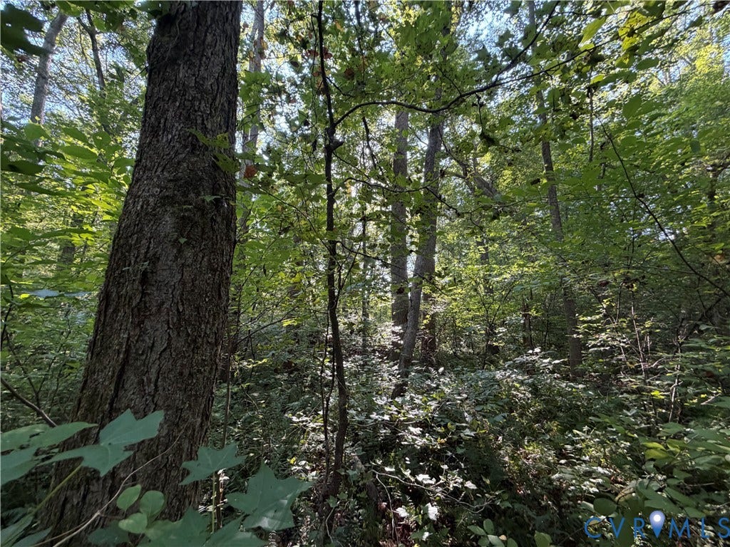 4877 Tabscott Road, Kents Store, VA 23084