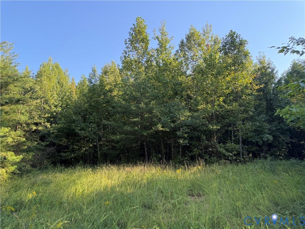 Grassy clearing by the road