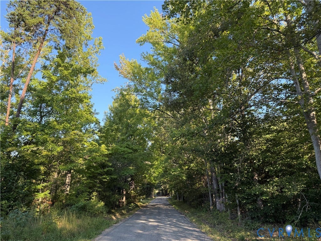Paved road bordered by lush, mature trees and natural landscaping