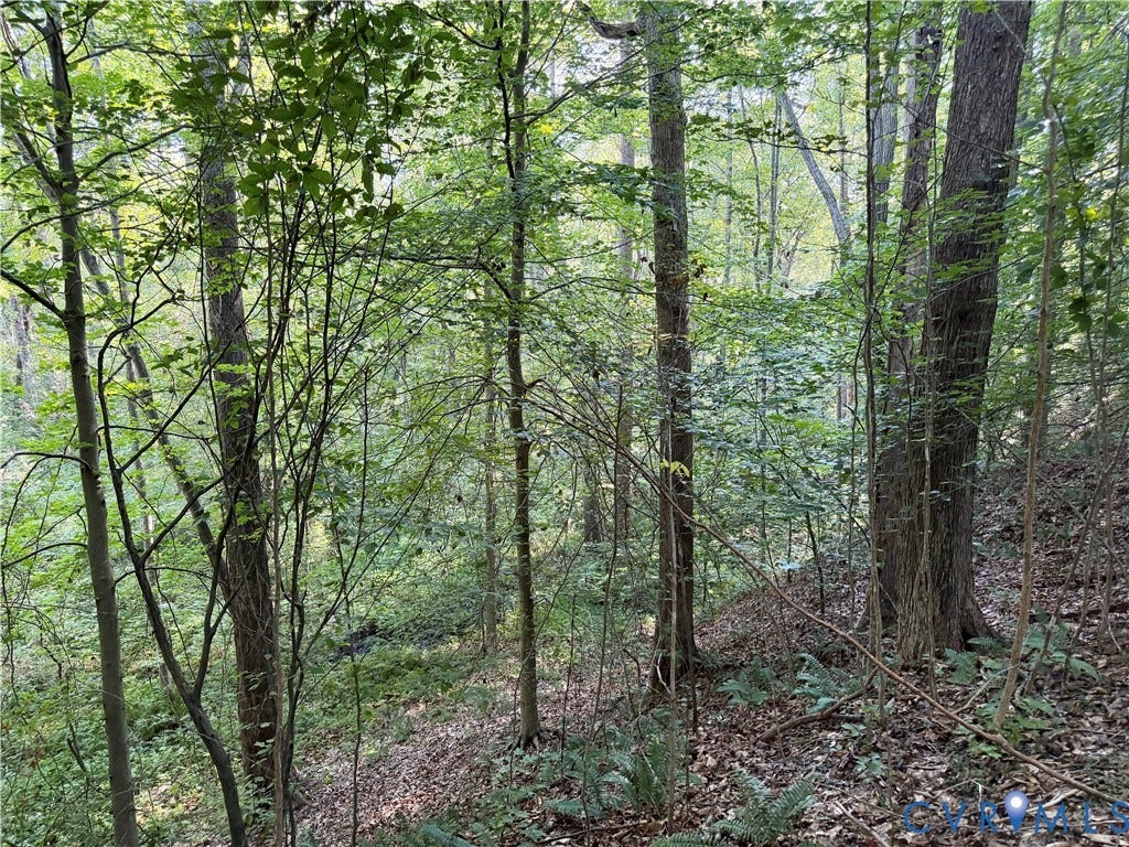 4877 Tabscott Road, Kents Store, VA 23084