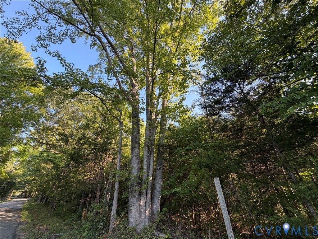 4877 Tabscott Road, Kents Store, VA 23084