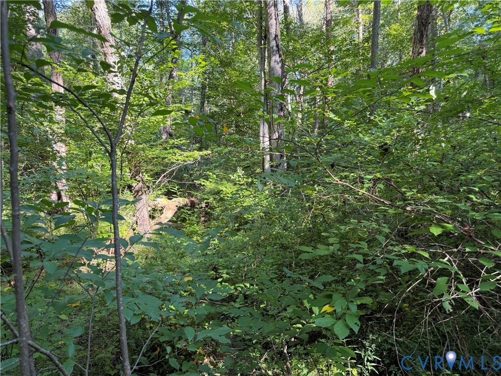 4877 Tabscott Road, Kents Store, VA 23084
