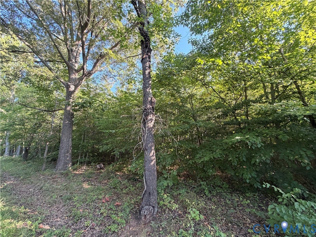 4877 Tabscott Road, Kents Store, VA 23084