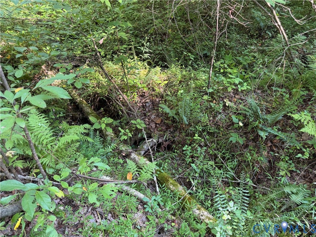 Dry Creekbed