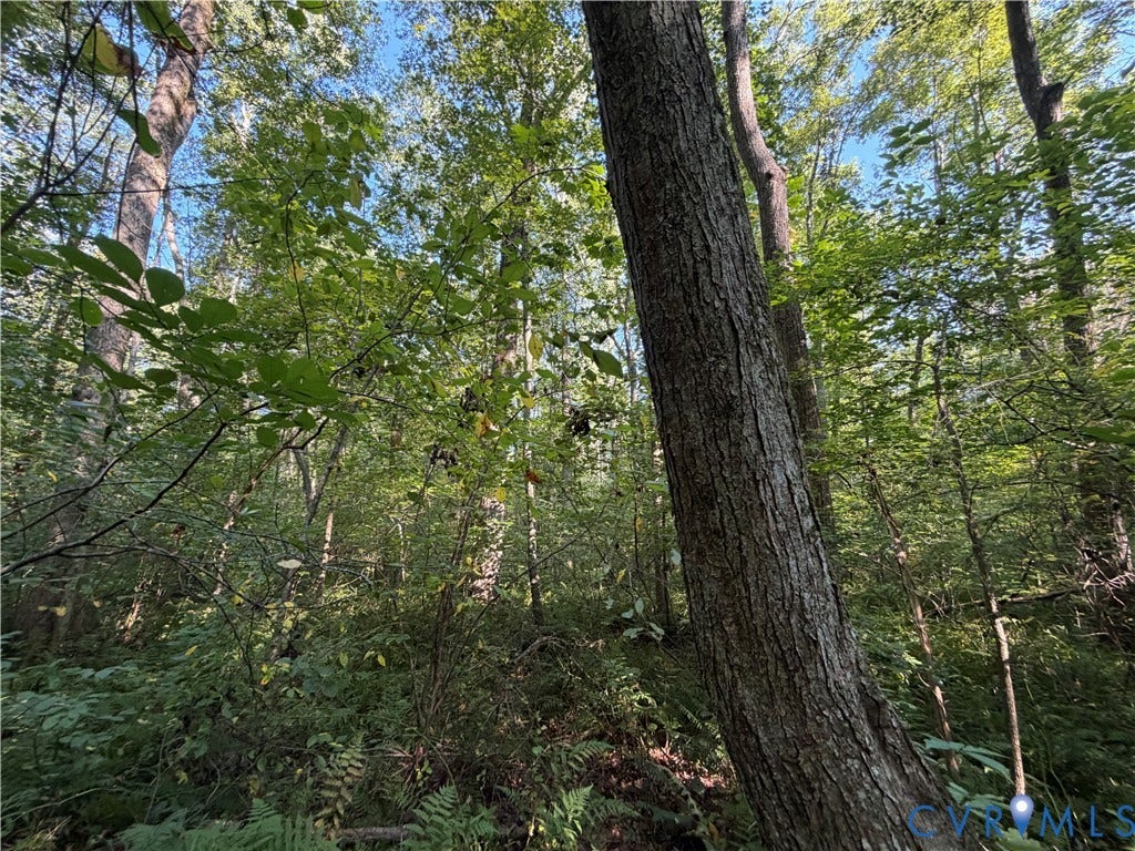 4877 Tabscott Road, Kents Store, VA 23084