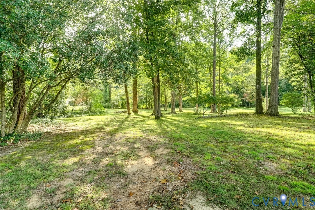 1407 W Monmouth Court, Henrico, VA 23238 Another backyard view