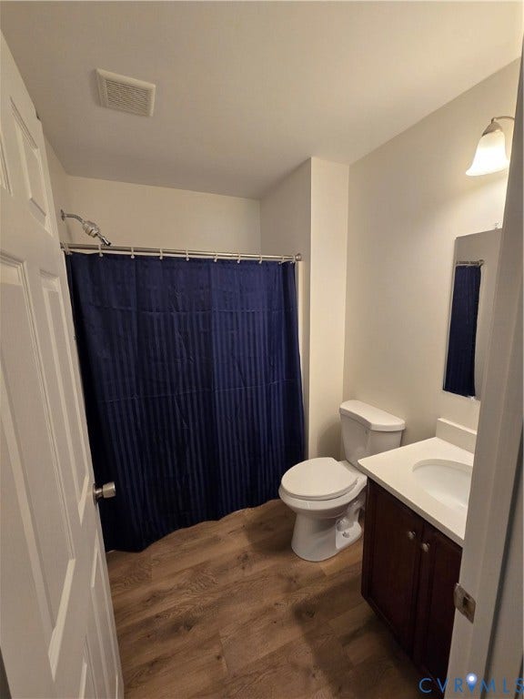 289 Winding Ridge Way, Winding Ridge, Bumpass, VA 23024 Wood-finish flooring with a white vanity featuring a single sink and wall-mounted mirror