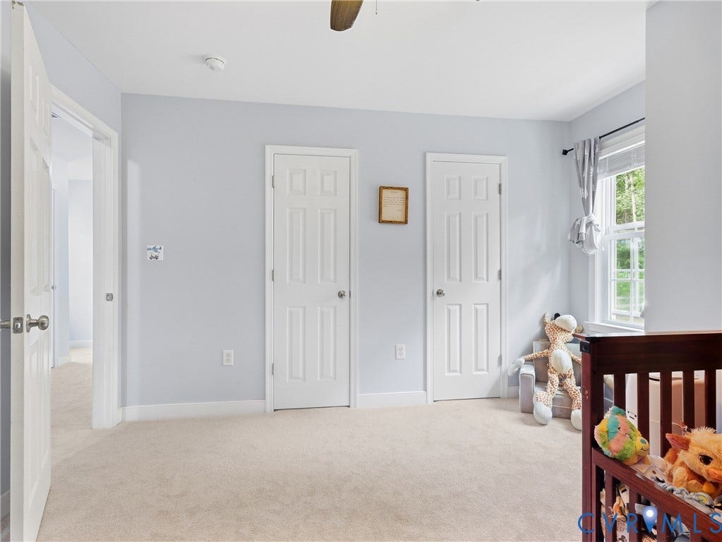 8325 Caroline Vines Way, Estates At Willis Church, Henrico, VA 23231 Plush carpet flooring complements soft gray walls