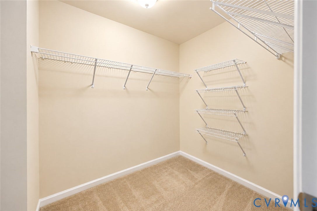 Walk-in closet featuring carpet flooring, built-in wire shelving, and a ceiling-mounted light fixture