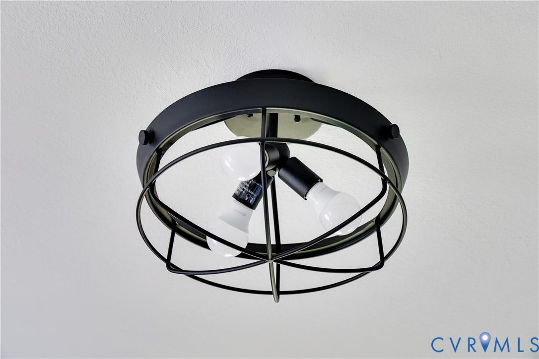 Matte black caged flush mount light fixture