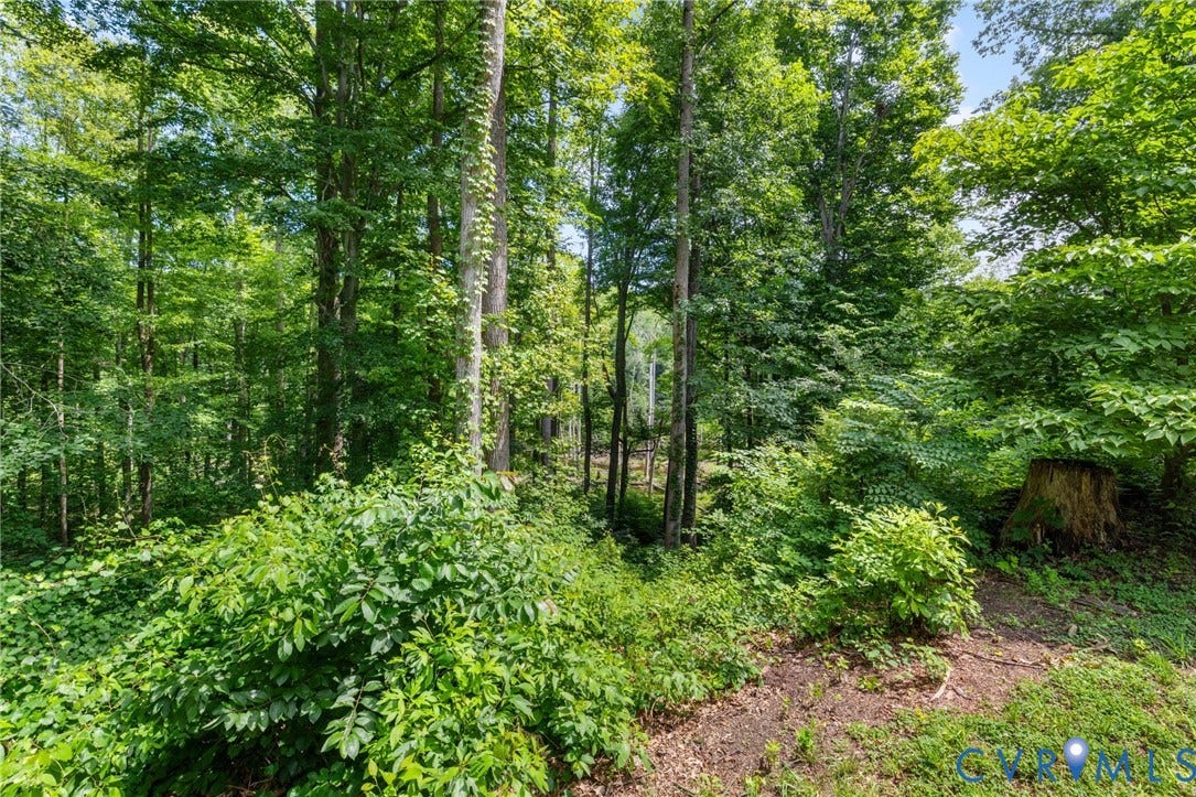 12439 N Oaks Drive, Ashland, VA 23005
