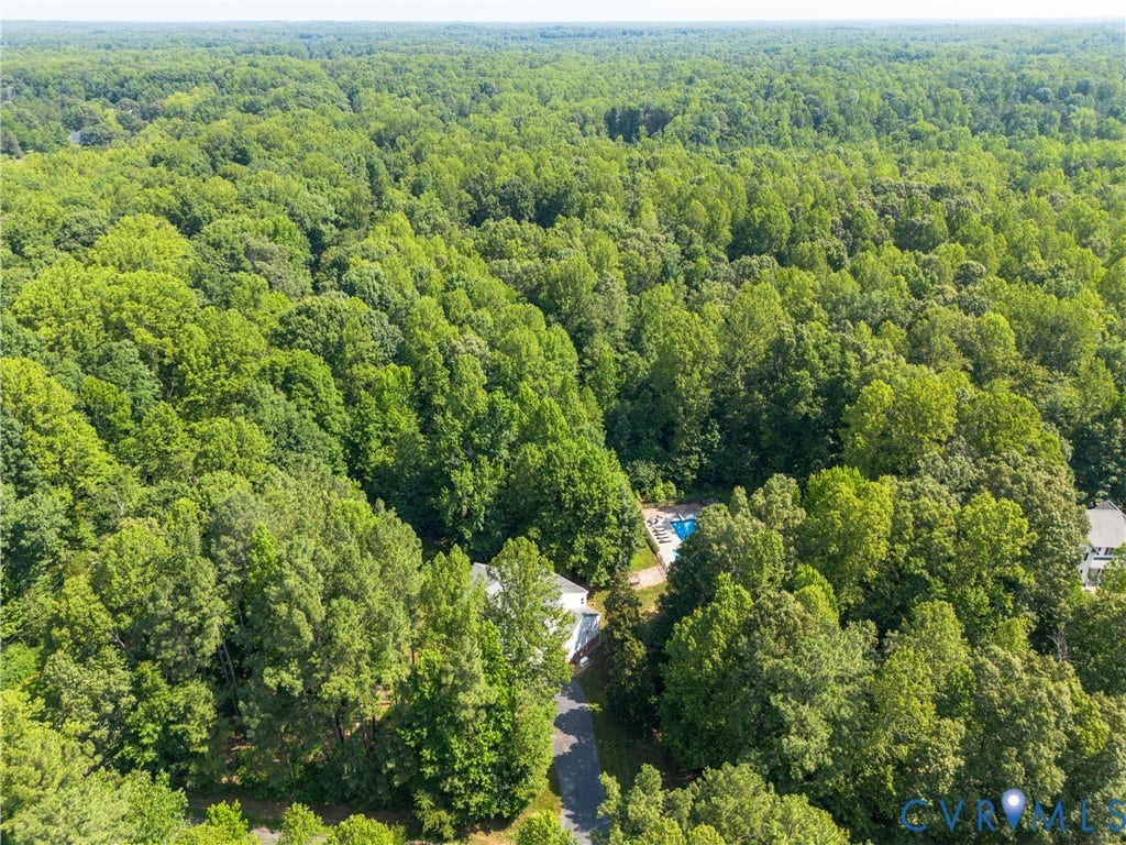 Expansive wooded property featuring a private swimming pool, mature trees, and a residential structure