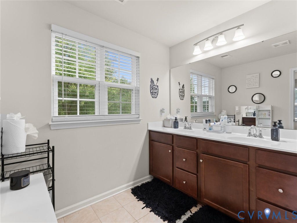 10206 Sandy Ridge Drive, The Woods Colony Pointe, Chesterfield, VA 23832