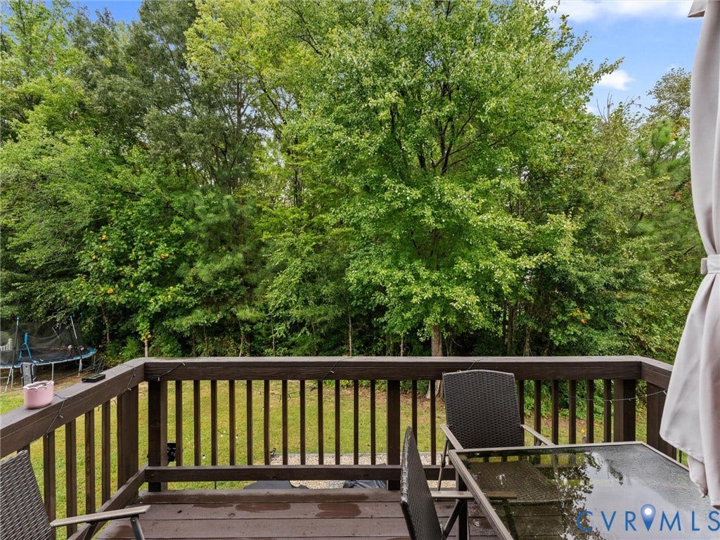 10206 Sandy Ridge Drive, The Woods Colony Pointe, Chesterfield, VA 23832