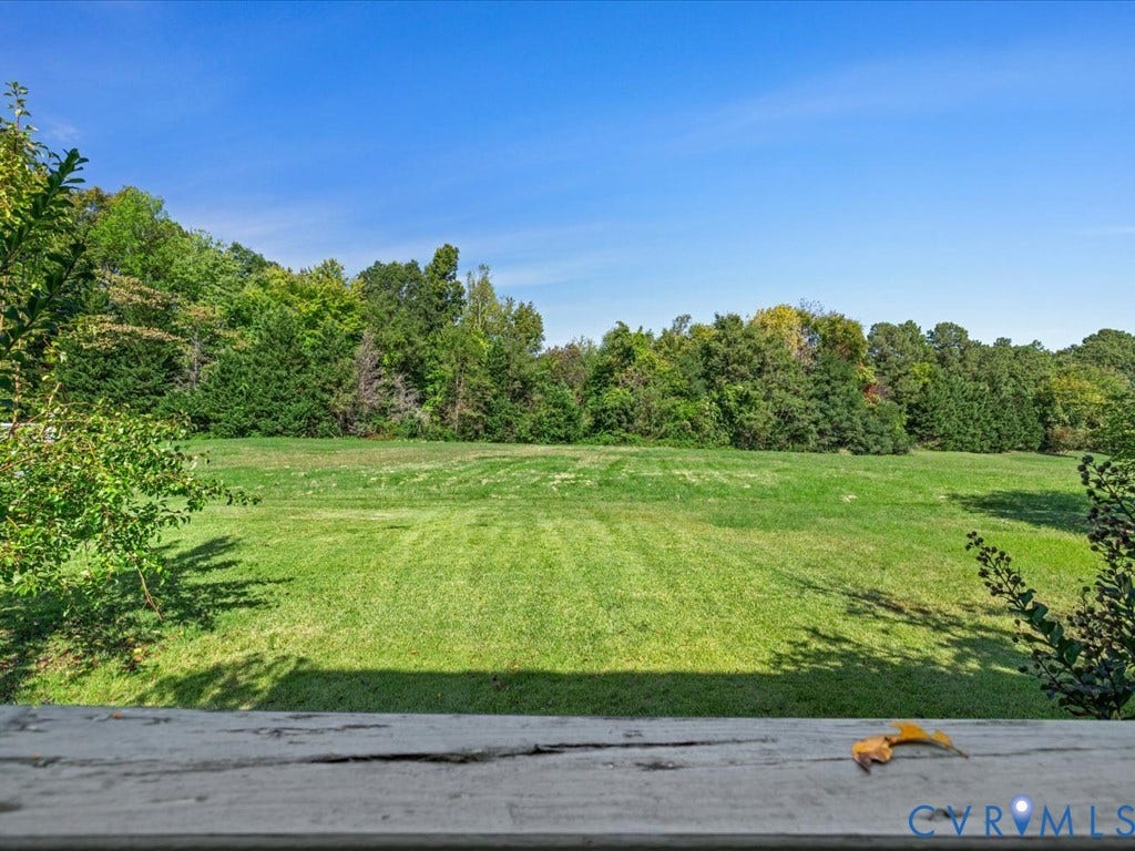 enormous opportunity in back yard with fruit producing pear tree
