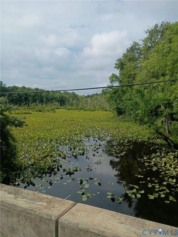 Property photo for TBD Courthouse Road, Dinwiddie, VA