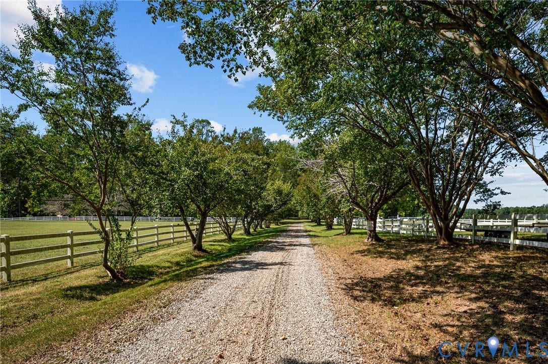 Gravel drive lined with mature trees and a white multi-rail fence