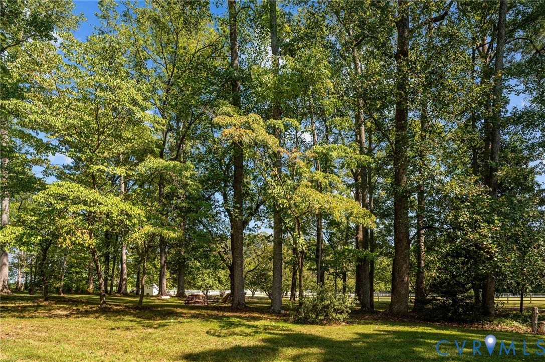 Expansive lawn area bordered by numerous mature trees