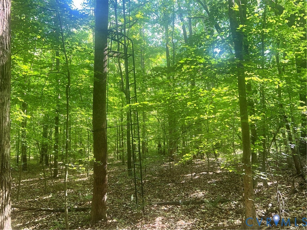 5890 Tucker Road, Powhatan, VA 23139 5890 Tucker Road, Powhatan, VA 23139