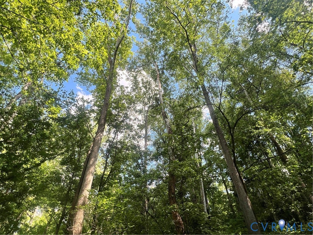 5890 Tucker Road, Powhatan, VA 23139 5890 Tucker Road, Powhatan, VA 23139