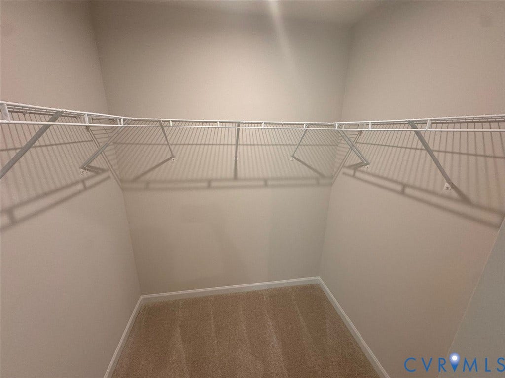 Walk-in closet featuring light-colored walls, carpeted flooring, and white wire shelving