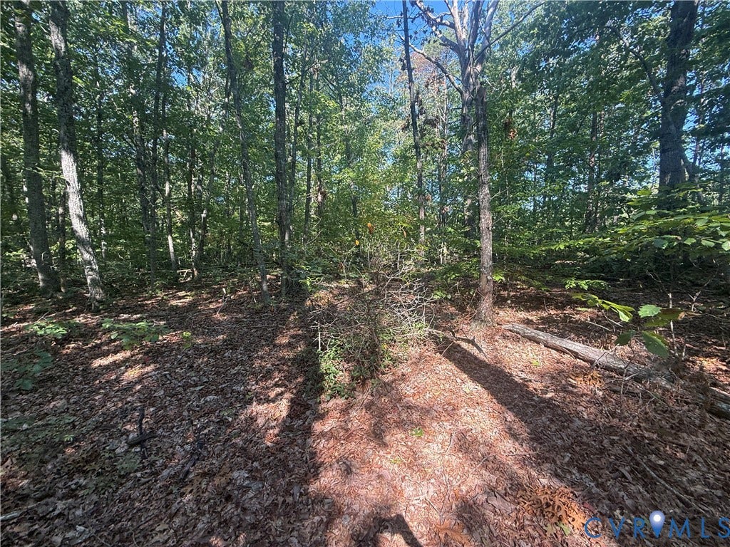 Lot 5 Dixie Hill Road, Na, Buckingham, VA 23921 Lot 5 Dixie Hill Road, Na, Buckingham, VA 23921