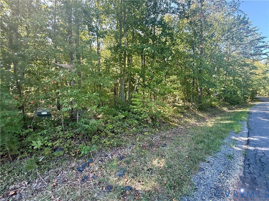 Lot 5 Dixie Hill Road, Na, Buckingham, VA 23921 Lot 5 Dixie Hill Road, Na, Buckingham, VA 23921