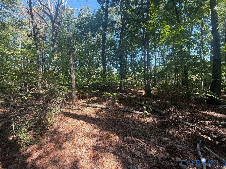 Property photo for Lot 5 Dixie Hill Road, Buckingham, VA