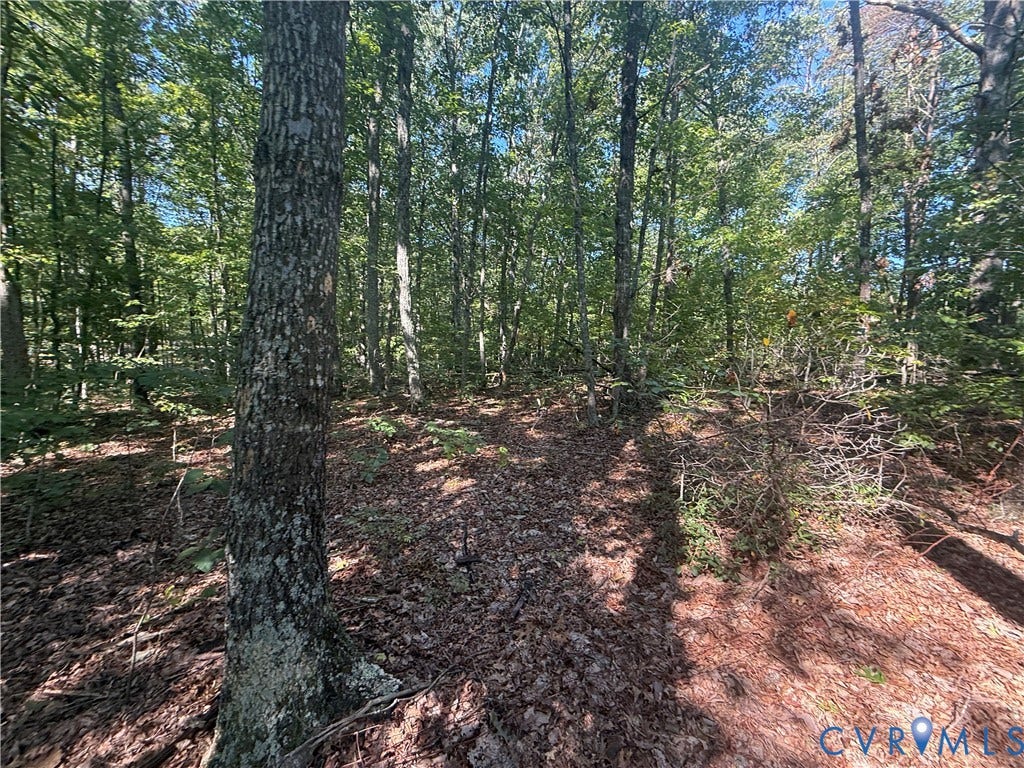 Lot 5 Dixie Hill Road, Na, Buckingham, VA 23921 Lot 5 Dixie Hill Road, Na, Buckingham, VA 23921