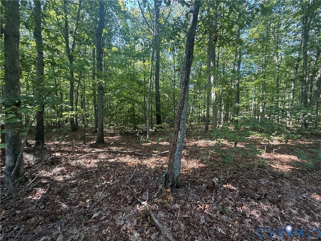 Lot 5 Dixie Hill Road, Na, Buckingham, VA 23921 Lot 5 Dixie Hill Road, Na, Buckingham, VA 23921