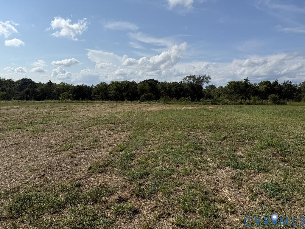 3035 Cumberland Road, Cumberland, VA 23040 Expansive open land featuring a natural tree line along the perimeter