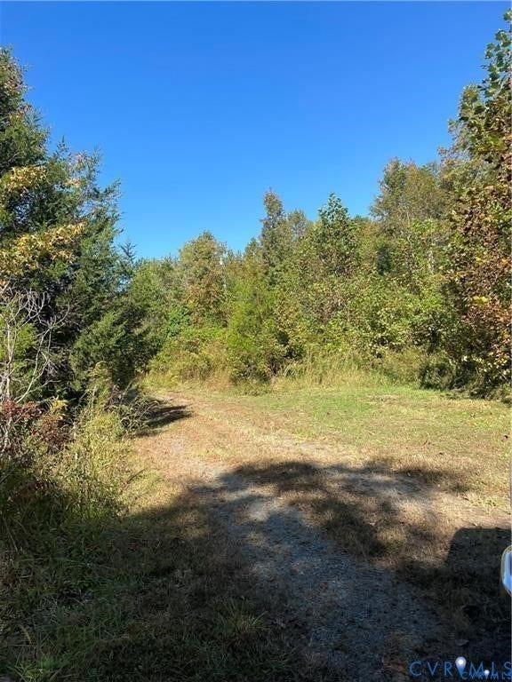 470 Price Road, Louisa, VA 23093 Expansive natural landscape featuring a clear sky, varied tree cover, and a partially cleared ground surface