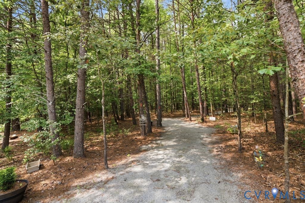 13114 Spring Road, Barr Brook Farms, Rockville, VA 23146 Gravel pathway surrounded by mature trees and natural landscaping