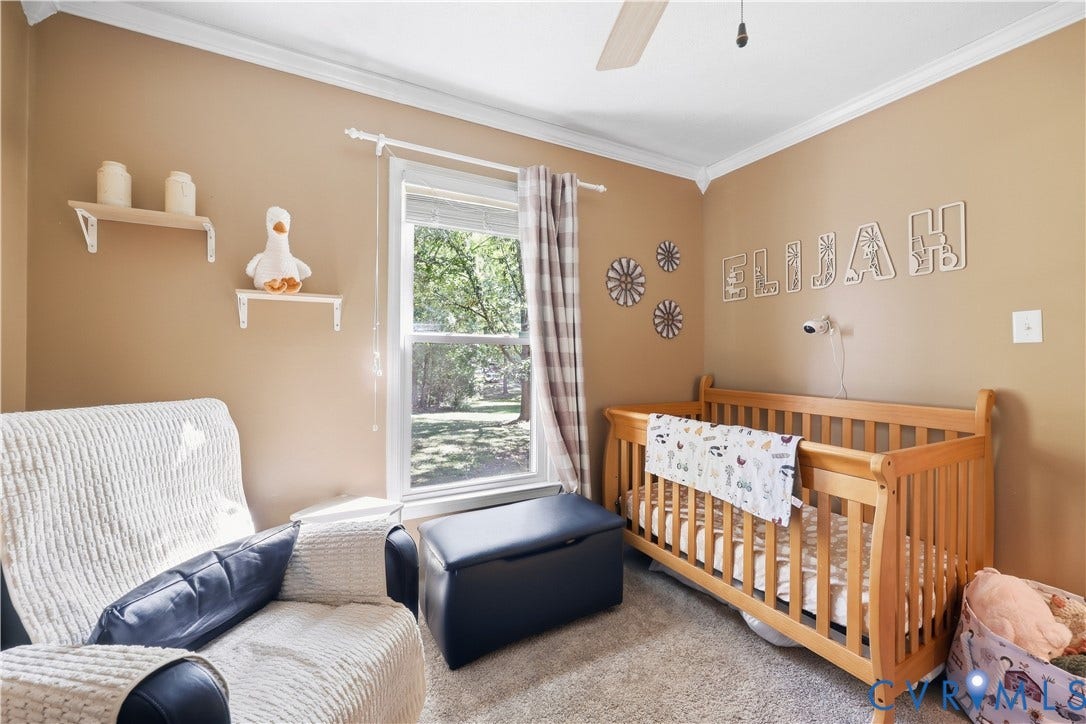 Neutral wall paint, crown molding, double-pane window, and textured carpeting