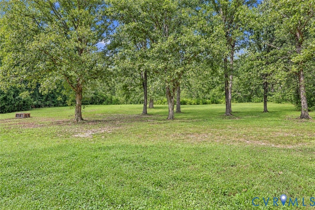 Expansive green lawn with mature trees and natural landscaping