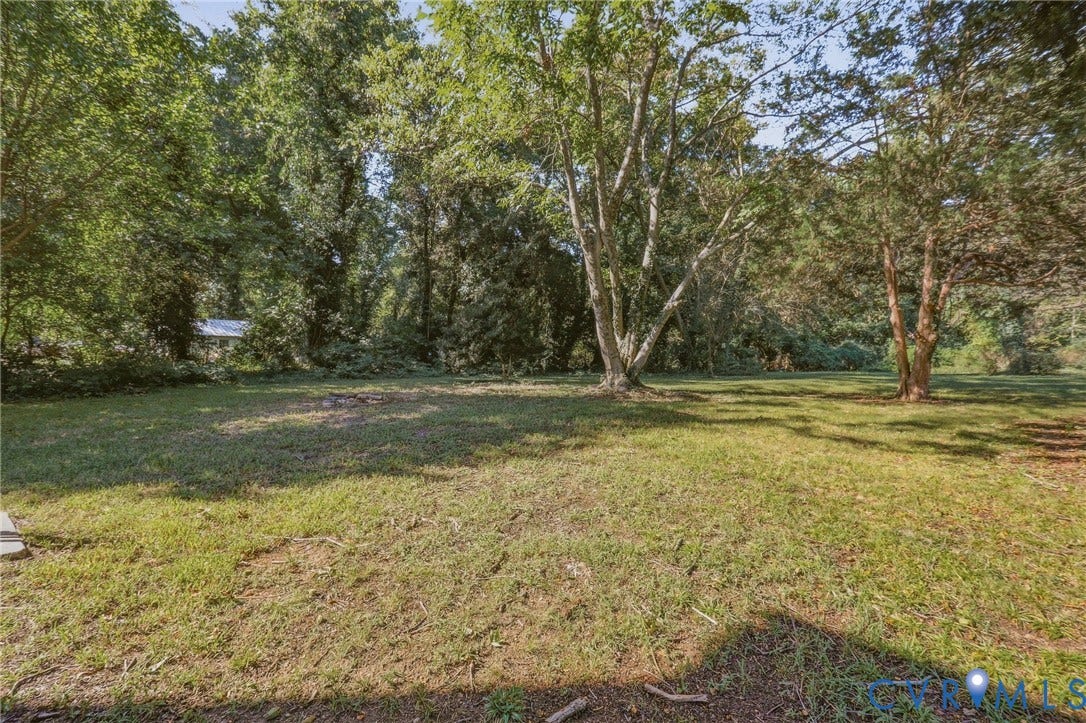 216 W Roanoke Street, Richmond, VA 23225 Expansive grassy area with mature trees and dense perimeter foliage