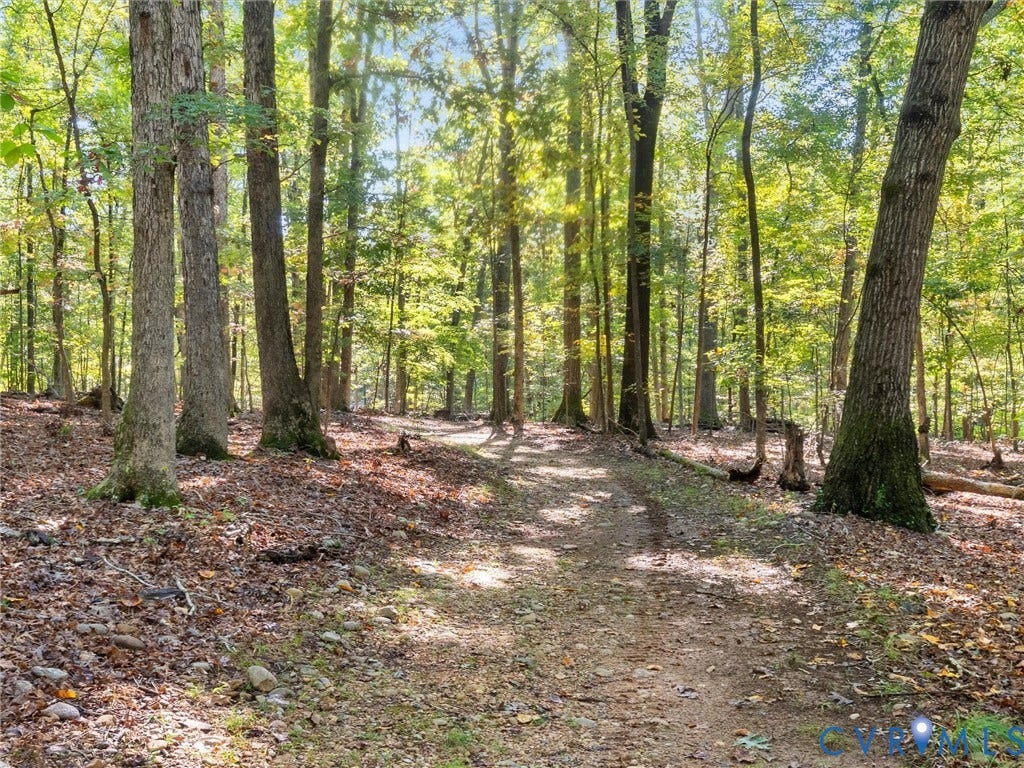3801 Old River Trail, Powhatan, VA 23139 Wooded lot featuring mature hardwood trees, natural earth terrain, and established forest vegetation