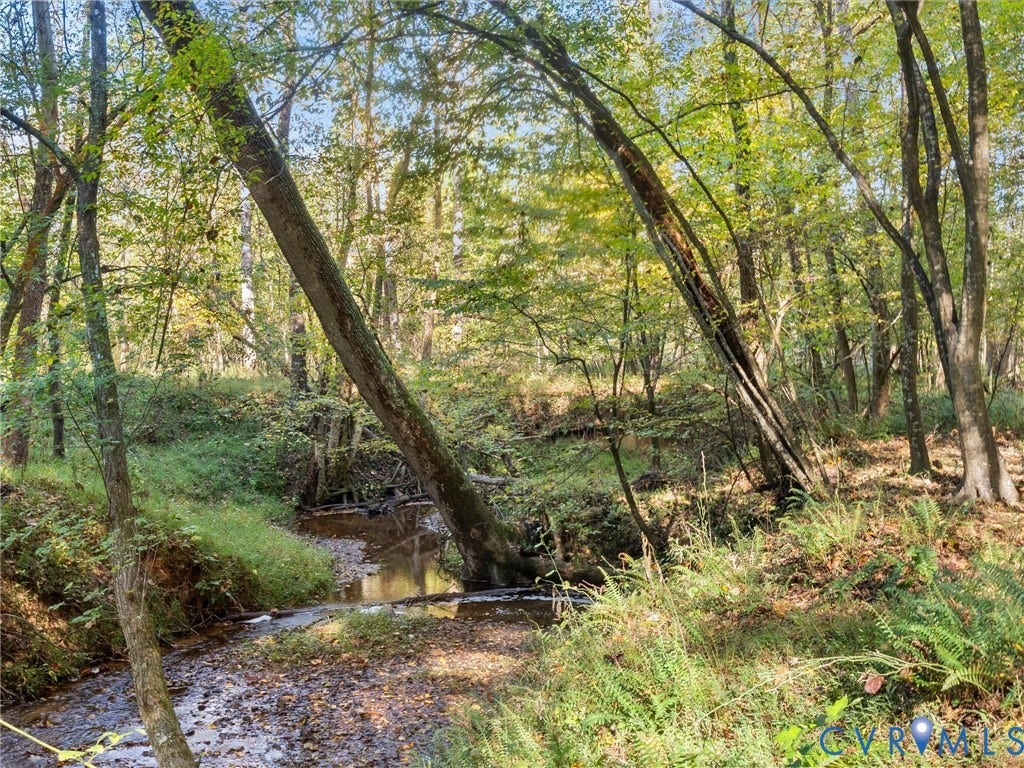 3801 Old River Trail, Powhatan, VA 23139 Wooded lot featuring a natural creek, mature canopy trees, and native ground cover