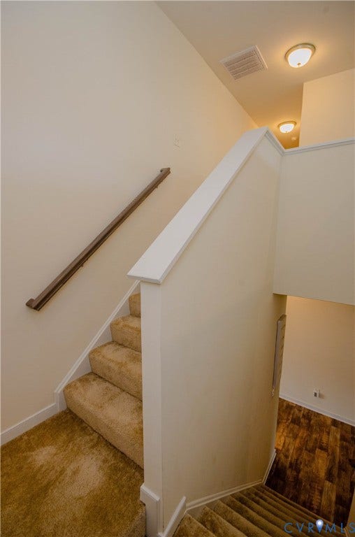 Staircase with carpeted steps