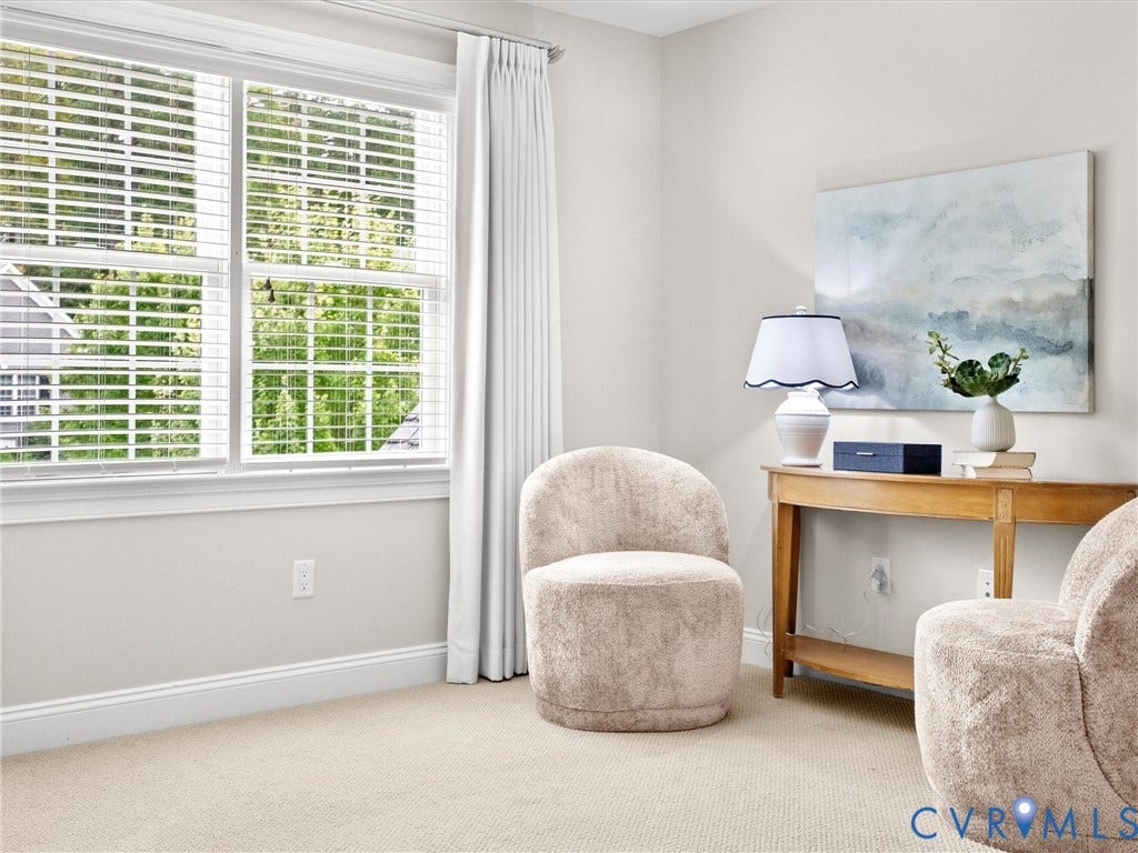 Expansive window with white blinds and drapes, light neutral wall paint, and plush carpeting