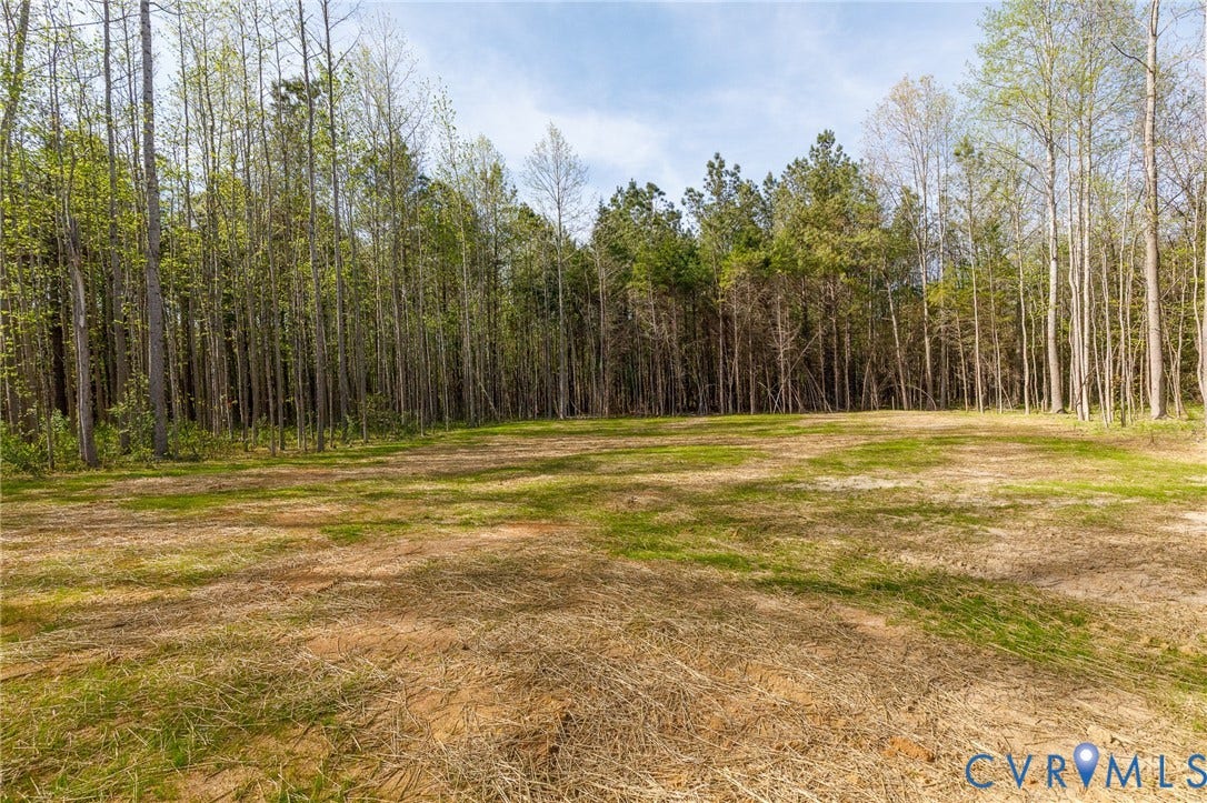 Expansive cleared lot surrounded by mature trees