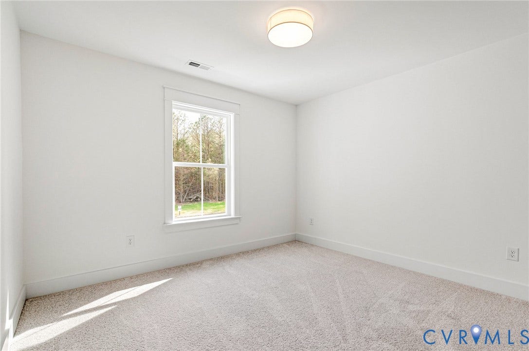 This room features light-colored carpeting, a window providing natural light and views of trees, and a ceiling light fixture