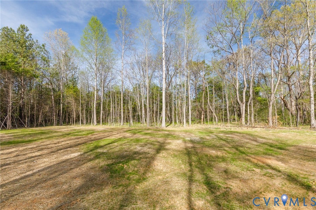 Expansive cleared lot with mature trees bordering the perimeter