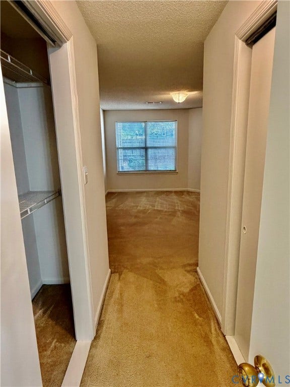 Carpeted hallway with two large built-in closets featuring shelving