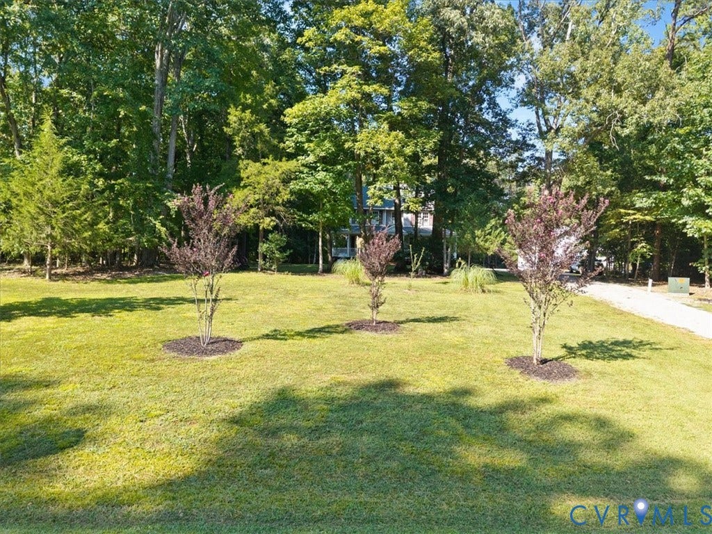 4398 Lynnecross Court, Powhatan, VA 23139 Expansive lawn featuring three small ornamental trees with mulch rings, bordered by mature deciduous trees